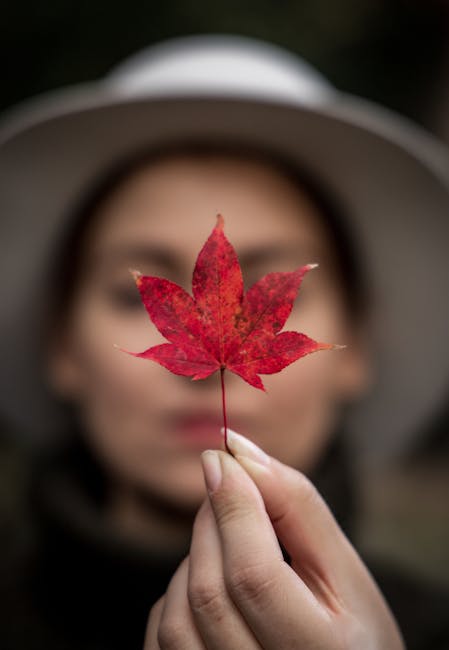 A focused shot of a red maple leaf held by a person in a blurred background.